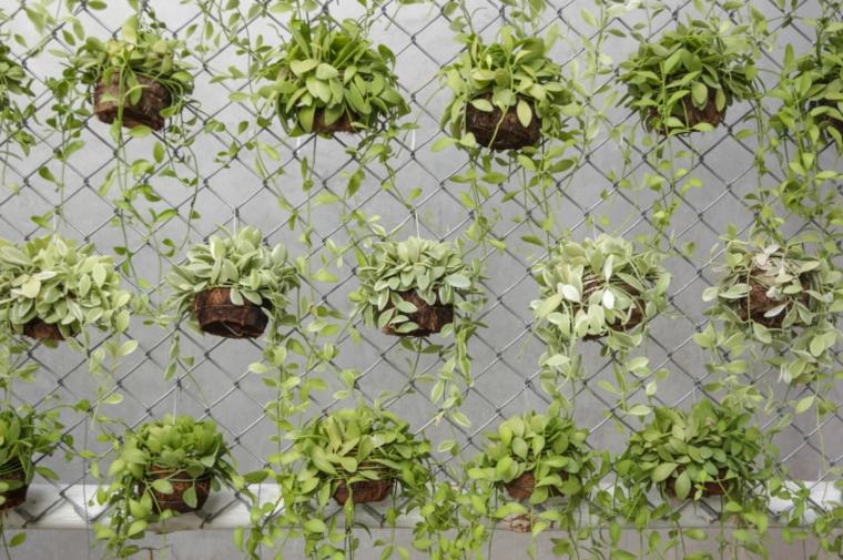 ideas hanging garden succulents