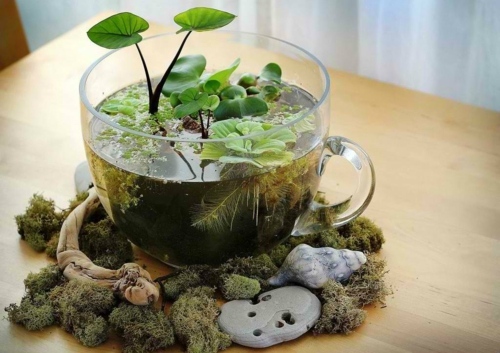 haven kop klar glas dam sump planter