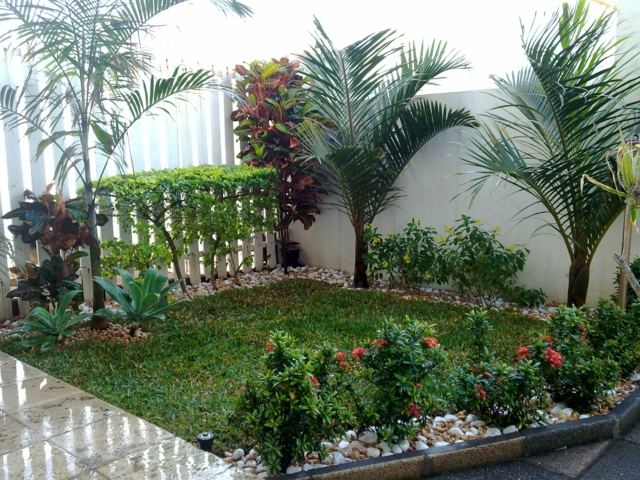 garden terrace grass plants