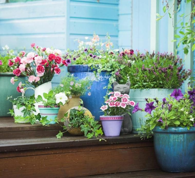 garden on terrace pots plant