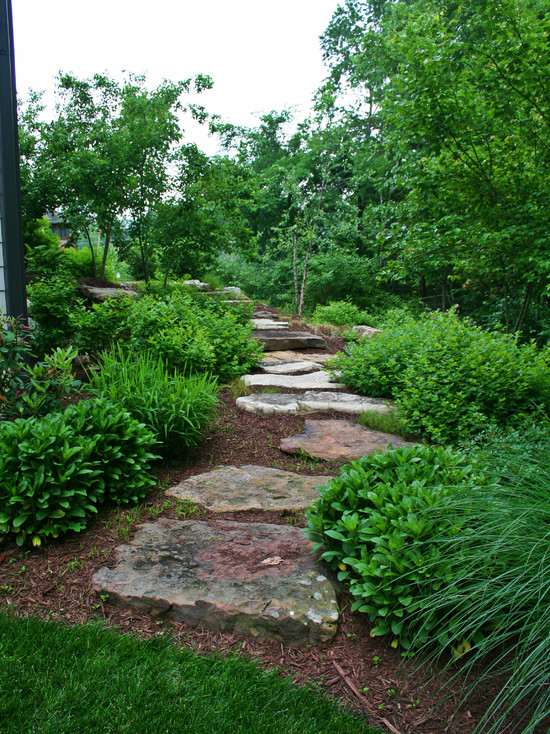 natural vegetation garden