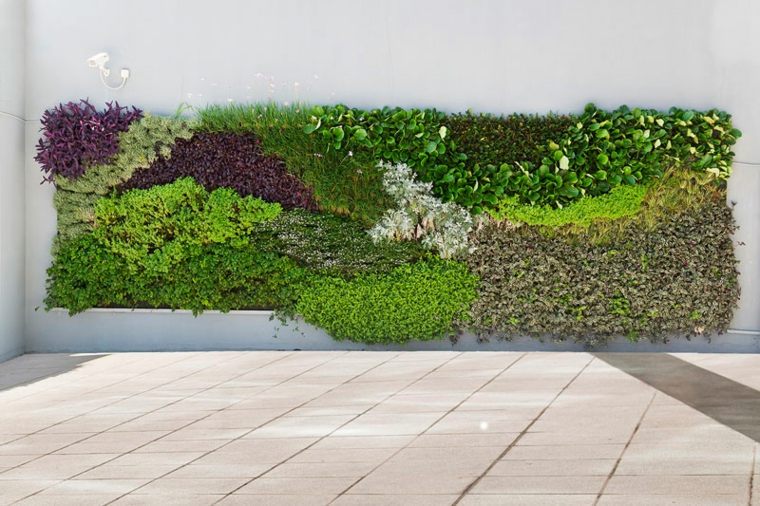 vertical garden design exterior