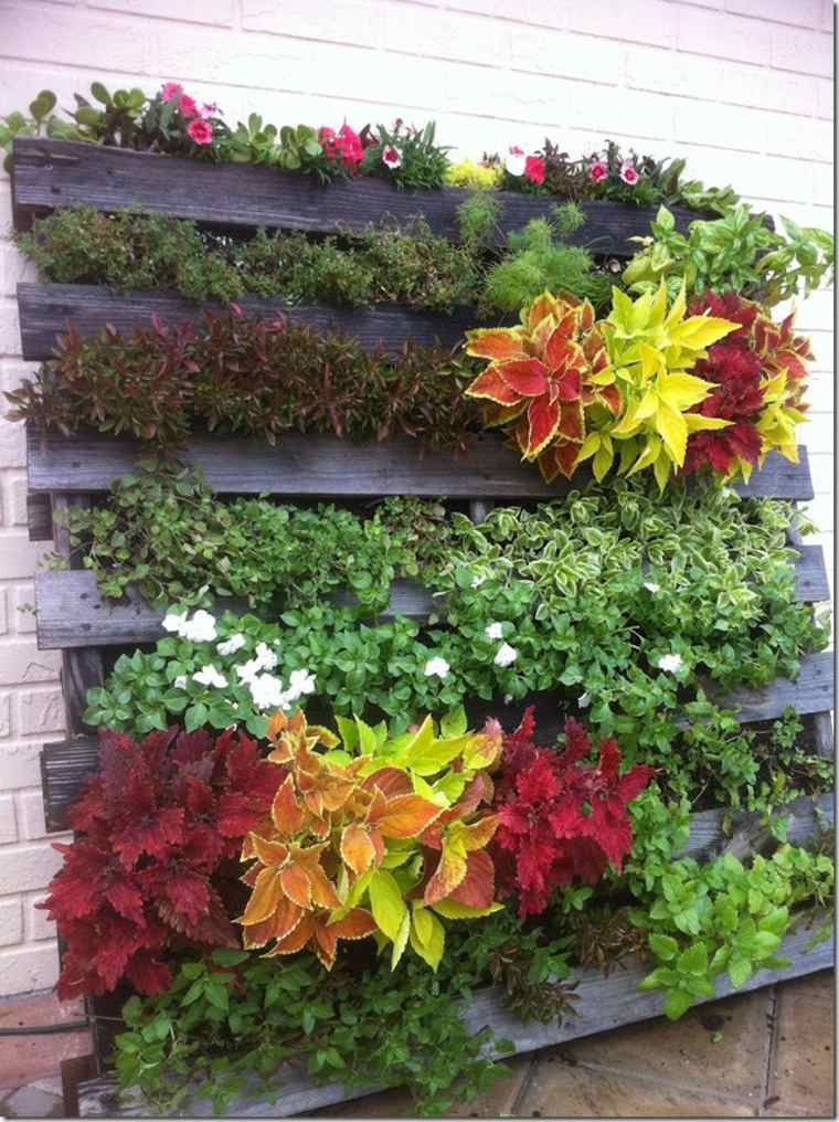 vertical garden idea flowers plants flowerpot