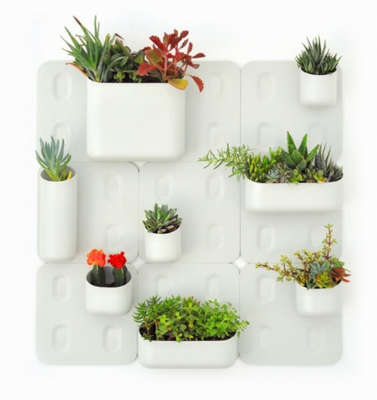 vertical garden intereiur