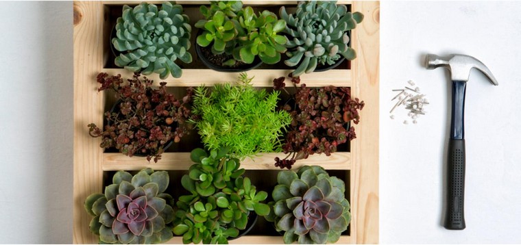 vertical-garden plants indoor garden-diy