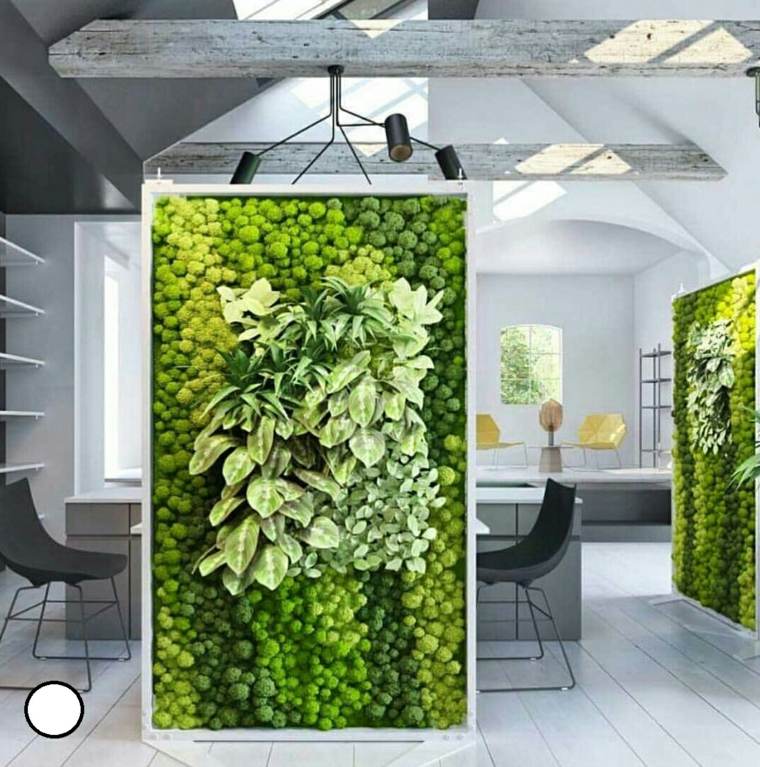 vertical garden ideas green plants