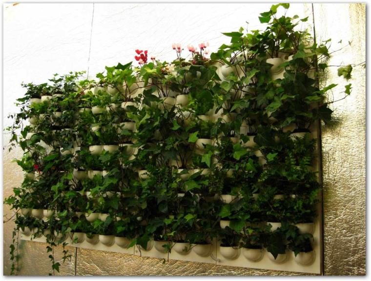 plant wall decoration plants idea