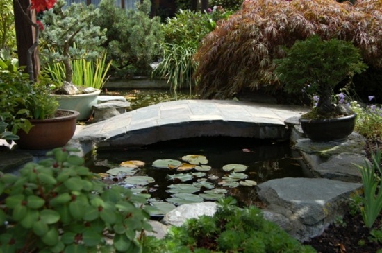 zen garden aquatic basin