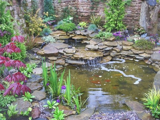 garden zen basin water