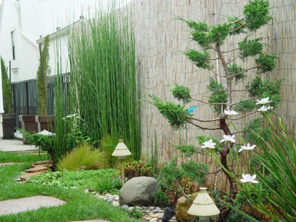 Zen haven hegn bambus