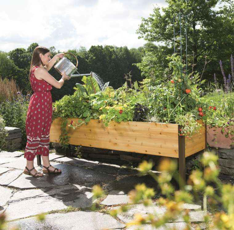 garden gardening