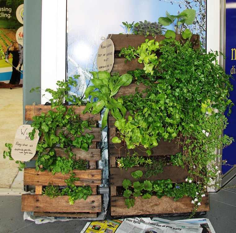 gardener-with pallet-idee-deco-wood plants outside-diy