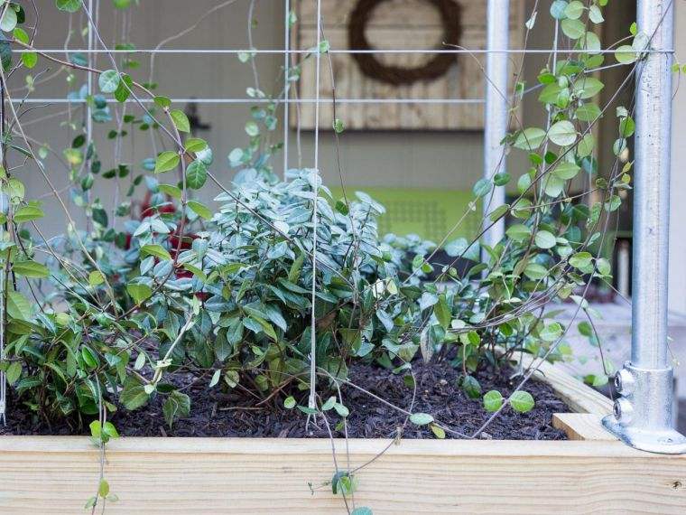 gardener with lattice diy-making-ideas