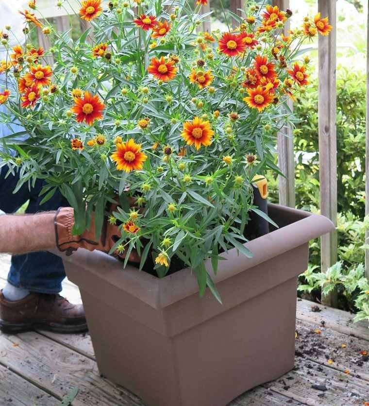 gardener balkon-how-to-plant-one-own-garden