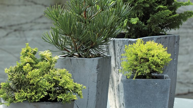 concrete planter high modern design terrace