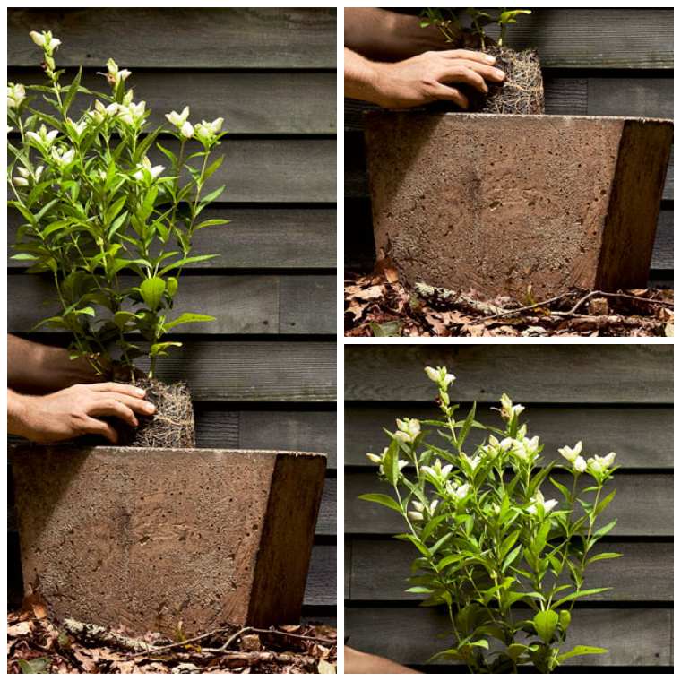 concrete planter manufacture-ideas