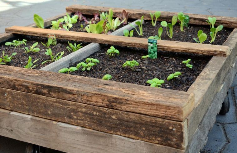 jardiniere-tre-palle-møbler-og-hage ferske hage urter,