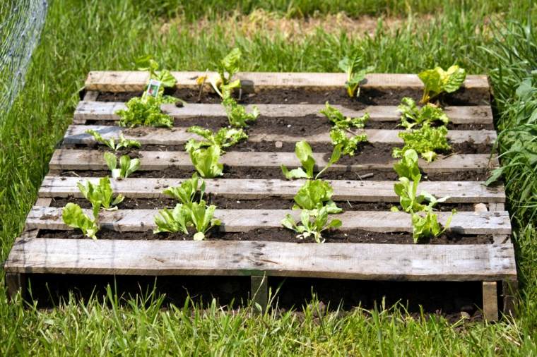 tukang kebun pallet dapur kayu dapur pot outdoor outdoor plant