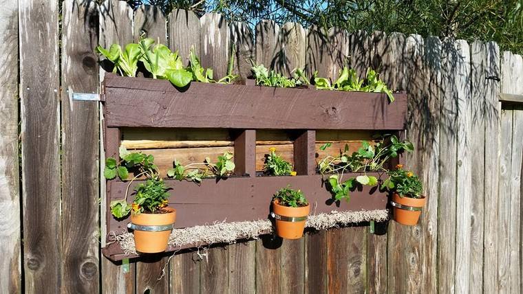 berkebun-menegak pallet-diy