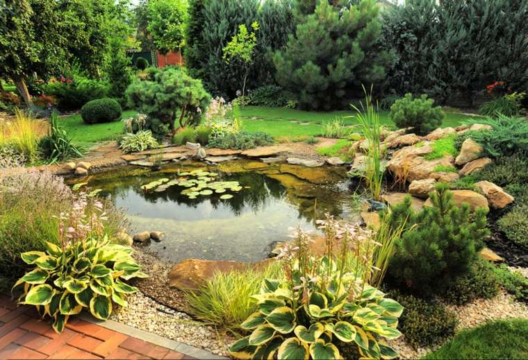 garden decoration idea water lily basin d'eau moderne 