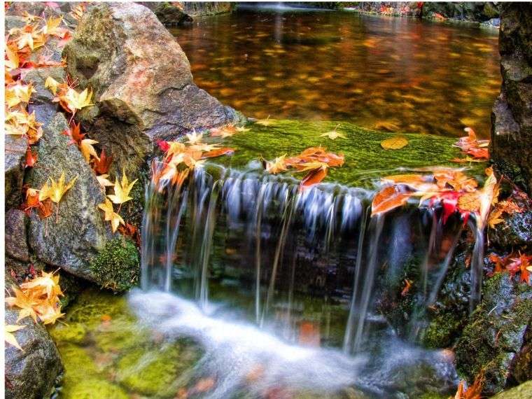 landscaped aquatic gardens outdoor deco