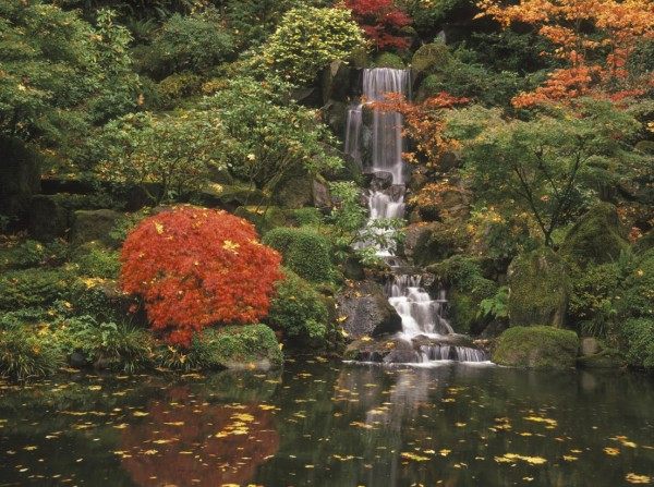 japanese gardens fall'eau automne