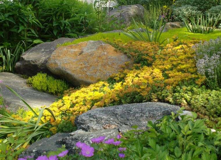 japanese gardens photo plants stones