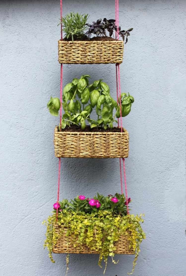 hanging gardens creative idea