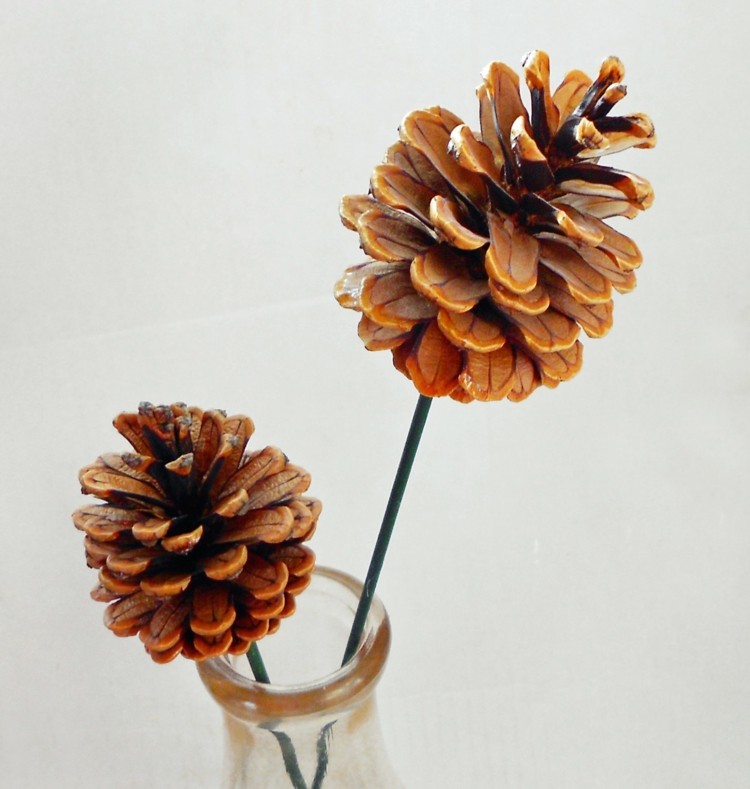 pinecone deco yang mudah