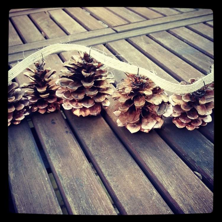 the rustic garland pinecone