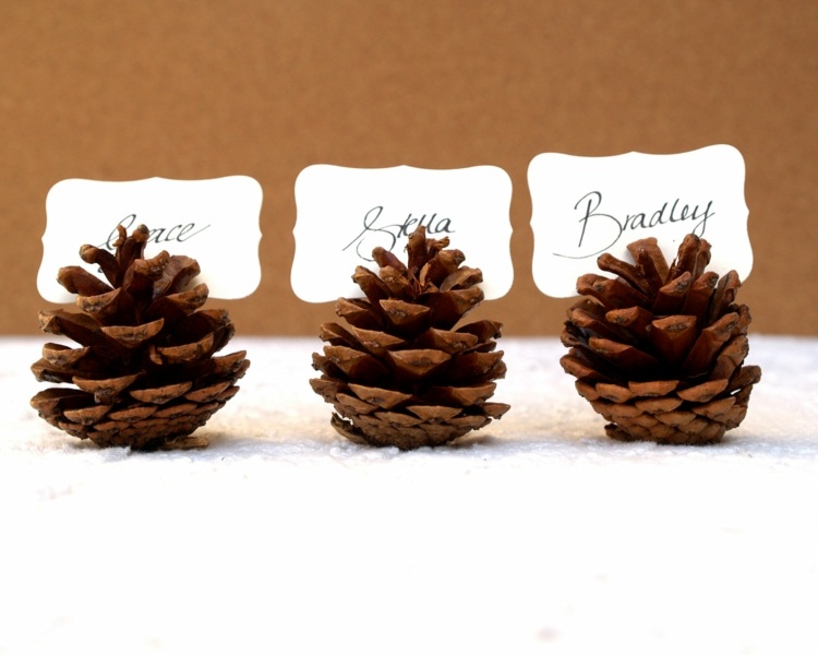 pine cone ideen