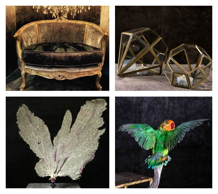 Labyrinth Interiors design idea furniture armchair velvet candleholder design deco coral deco statuette parrot