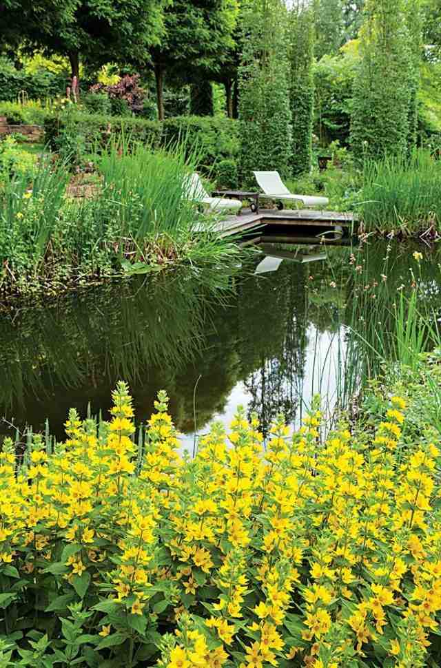 how to arrange your garden idea lounge chair garden pond