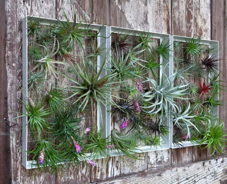 landscaping gardens hanging green plants