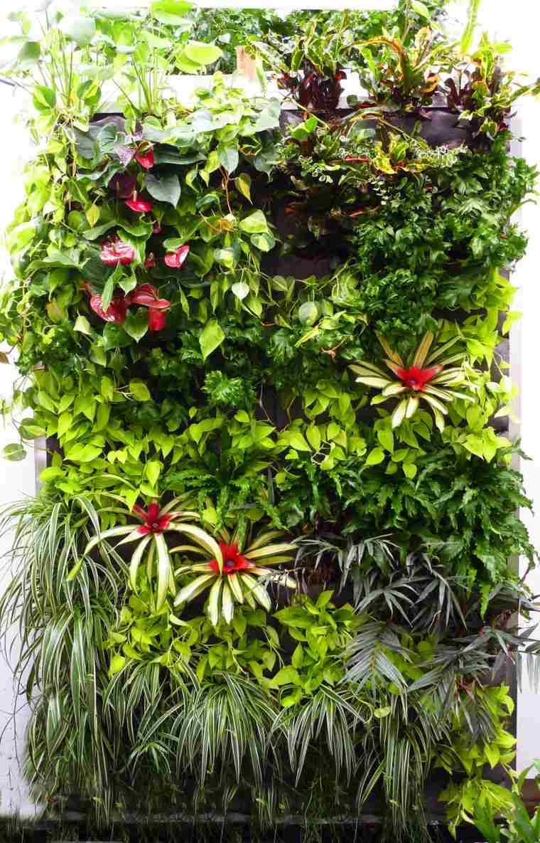 hanging gardens outdoor potted plant