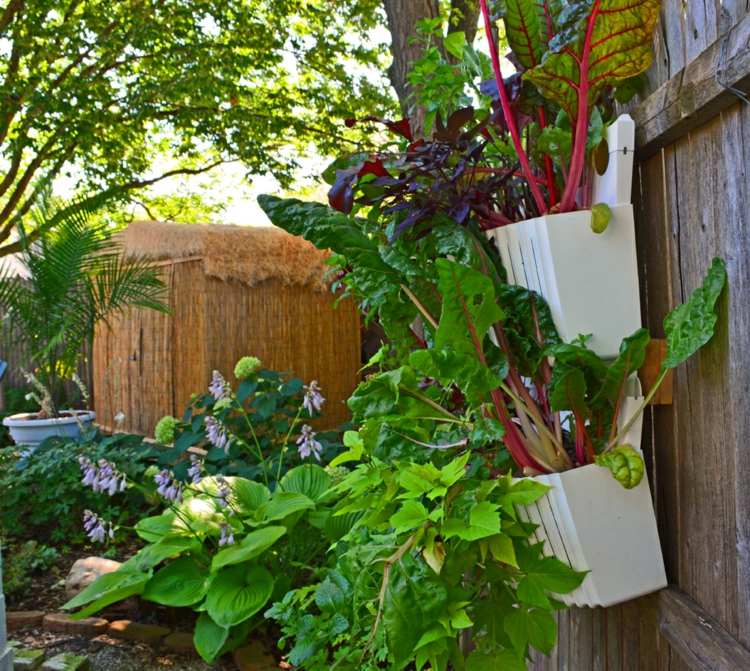 the hanging gardens exterior wall