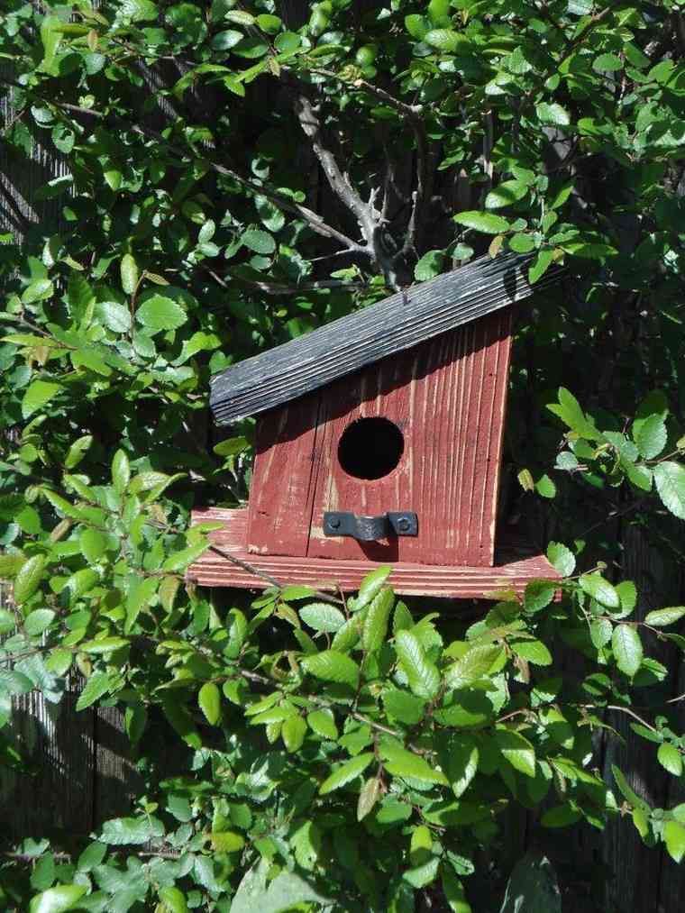 house-a-bird-a-do-it-yourself-wood-birds-diy