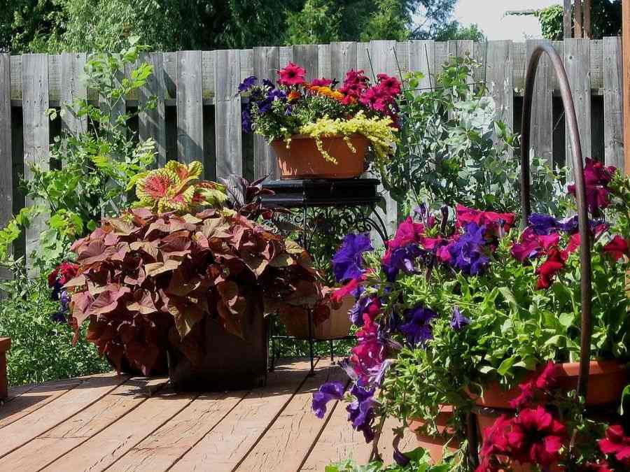 deco house flowers terrace wood