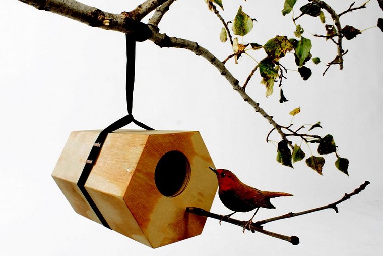 house-birds-design-ideas