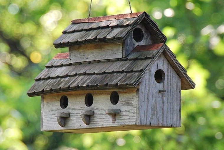 house-birds-idee-diy