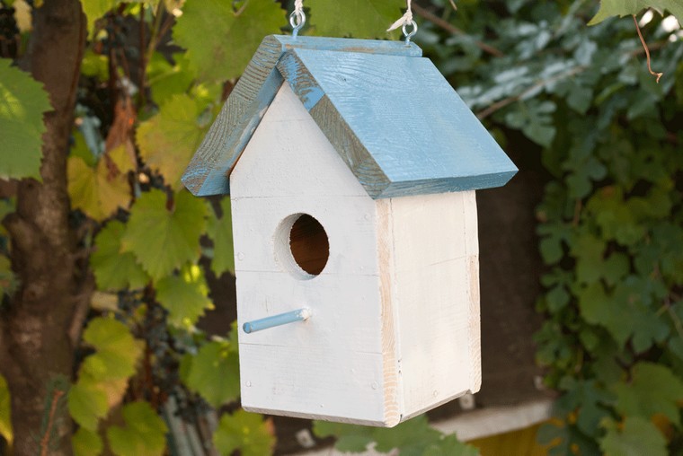 house-suspended-manger-make-birds