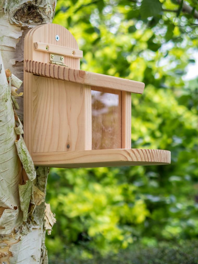 garden squirrel feeder