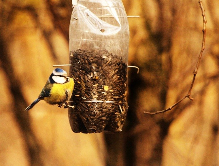 feeder-fåglar-diy flaskplast nest