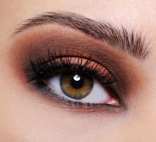 brown shades makeup