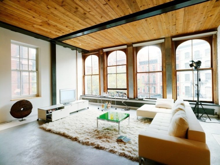 moderne interiørdesign gulvteppe sofa pute ide lagring design
