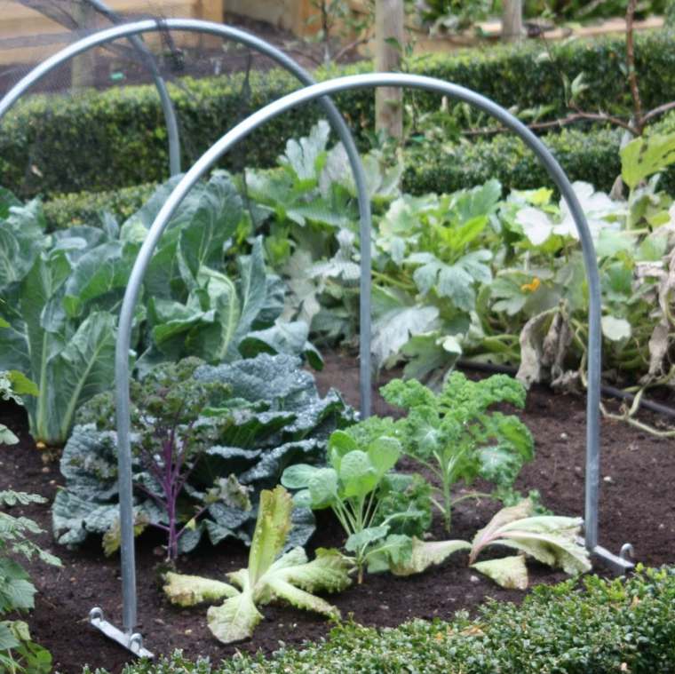 mini arches for garden greenhouse