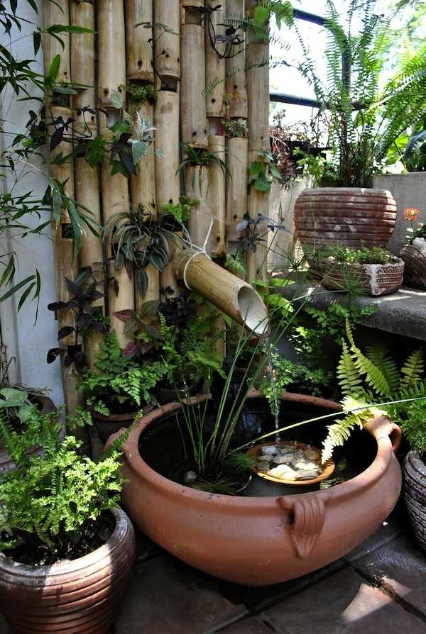 mini basin aquatic plants clay bamboo permanent installation