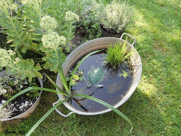 mini metal basin aquatic plants turtle