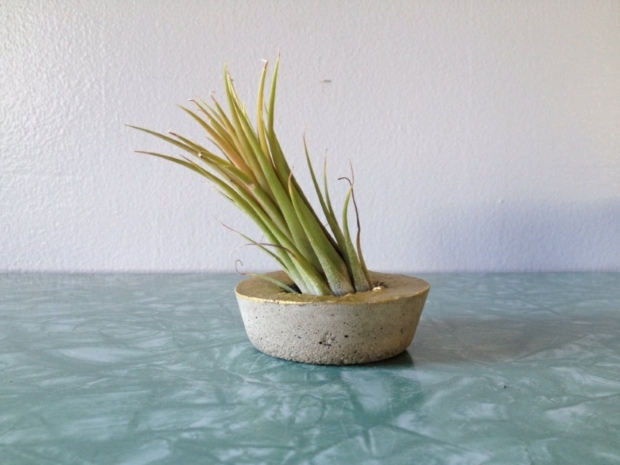 ReRunRoom Mini Concrete Flower Pot