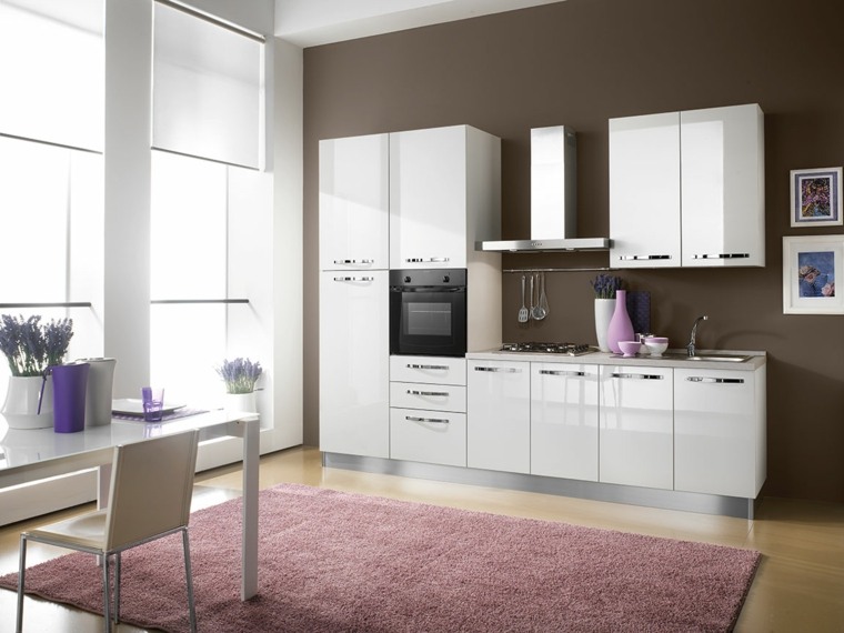 color and contemporary kitchen model